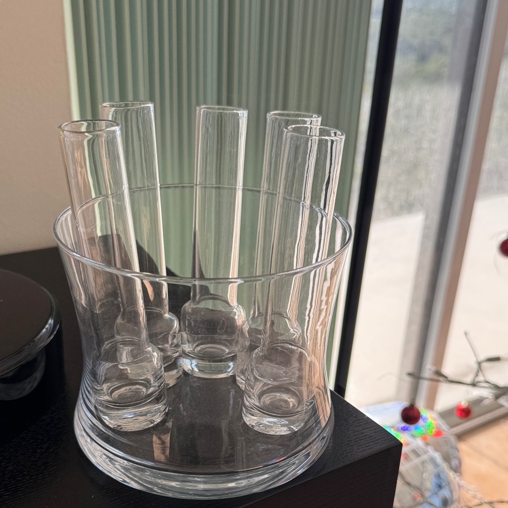Clear Glass Test Tube Vase Set
